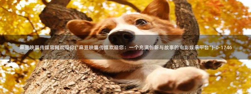 麻豆视频文章内容