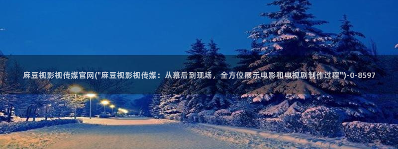 麻豆视频资源站文案