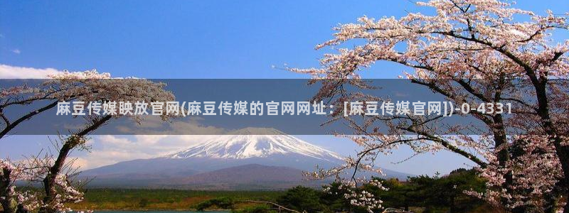 麻豆传媒精选