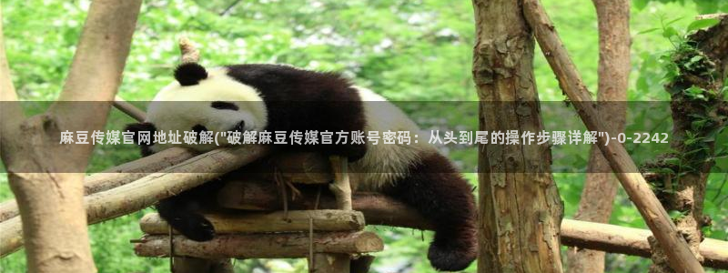 麻豆视频页面描述