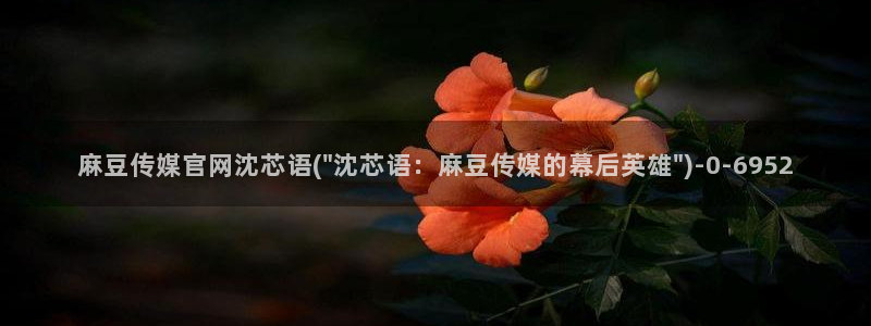 麻豆视频分类名称