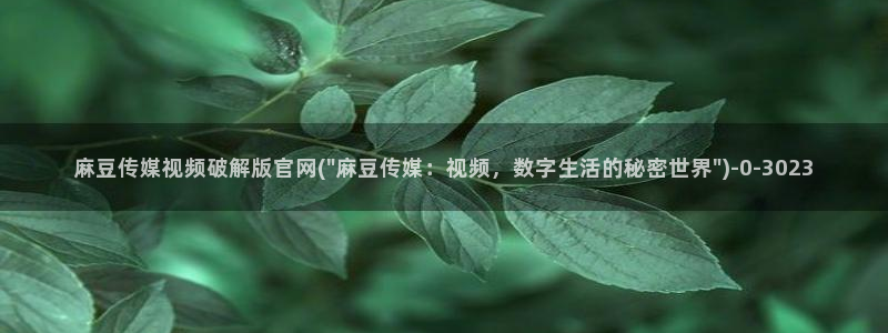 麻豆视频盘点：麻豆传媒视频破解版官网(\
