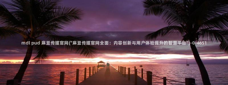 麻豆视频描述规则