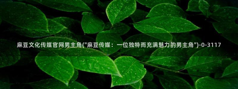 麻豆视频更新列表