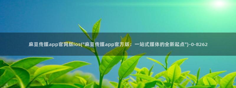 麻豆新片速递