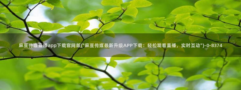 麻豆视频更新