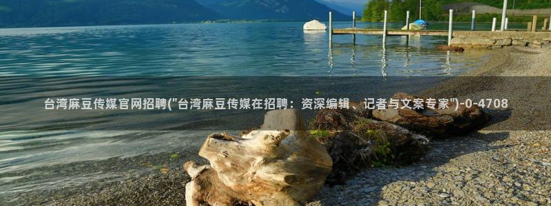 麻豆榜单标题