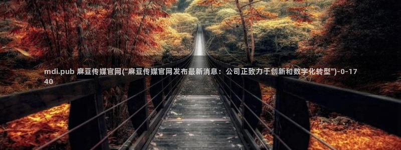 麻豆视频花絮