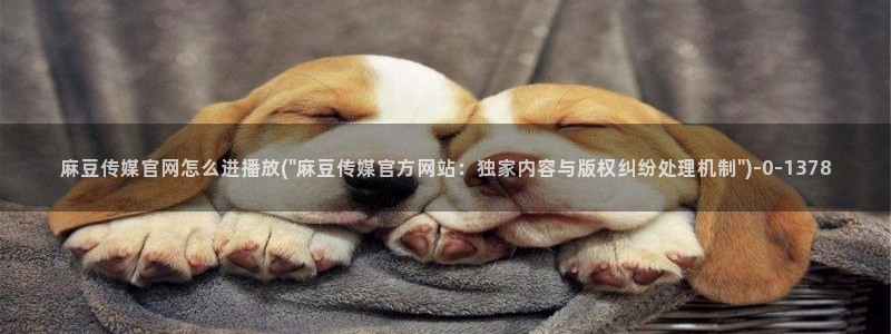 麻豆精选片单