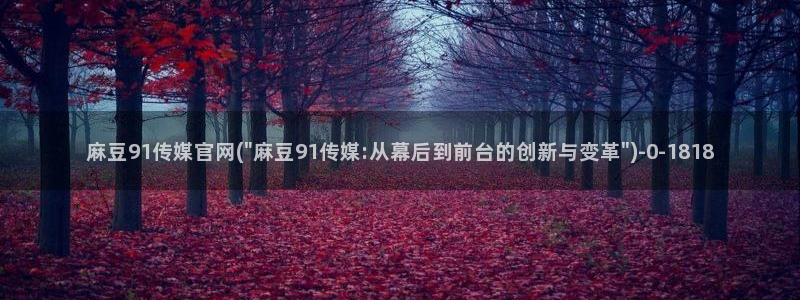 麻豆免费视频观看