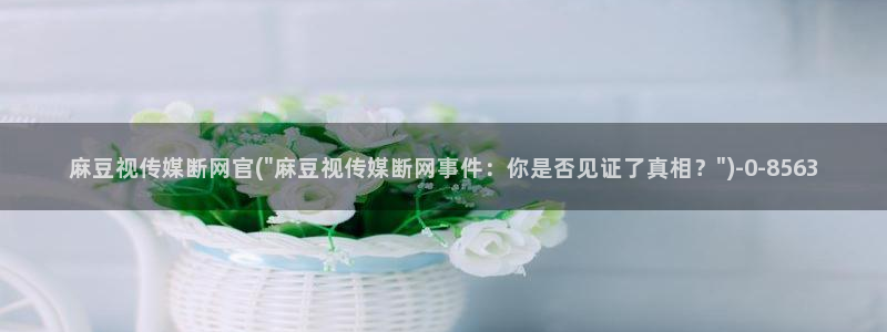 麻豆人物关系