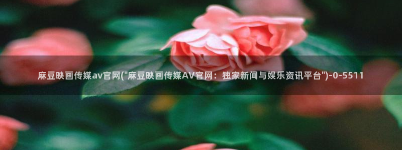 麻豆新人演员