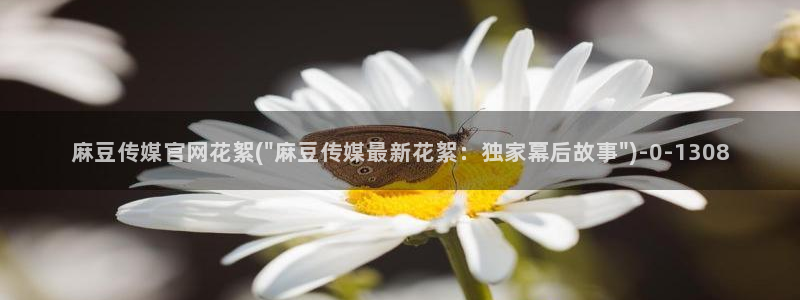 麻豆视频站内文案