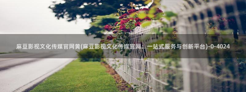 麻豆视频采集规则
