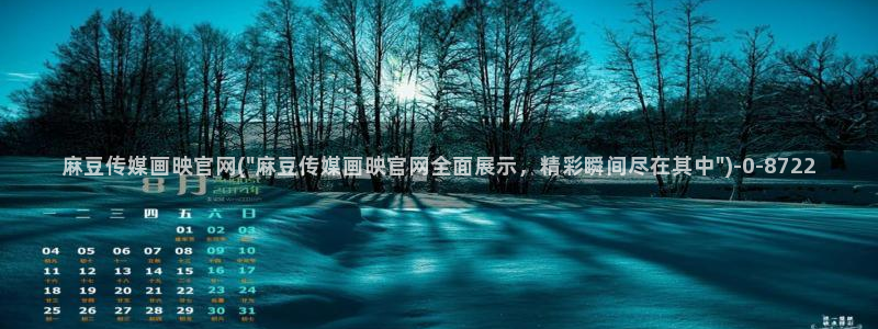 麻豆内容优化