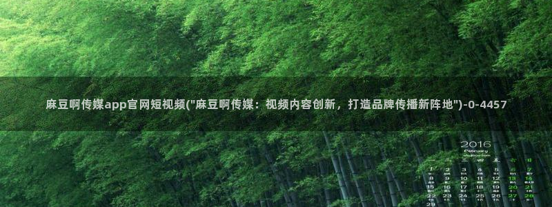 麻豆视频内容聚合
